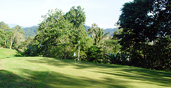 Hole 11